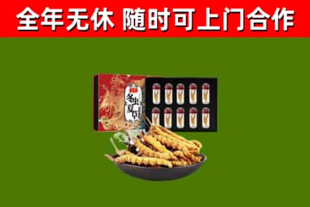 庆阳烟酒回收冬虫夏草礼盒.jpg